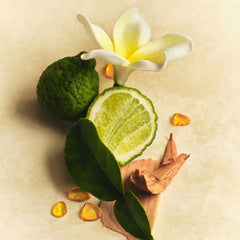Scent Layering Trio N3